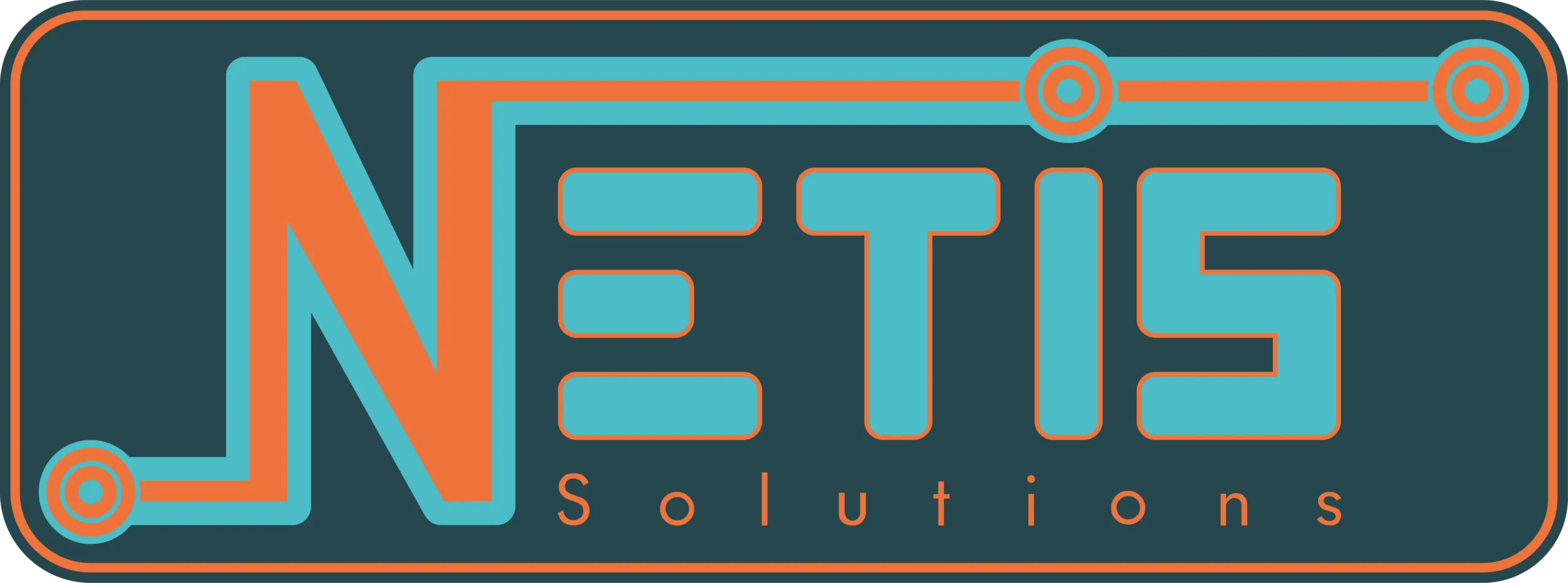 Netis Solutions